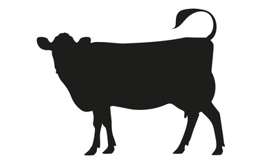 Cow Jersey Silhouette - The Best Milk Cattle Breeds. Farm animals. Vector Illustration.