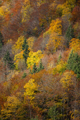 Fototapeta premium Herbst in den Bergen