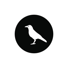 Bird icon circle background black color editable.crow icon.