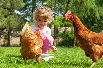 Happy little girl feeding chickens