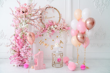 First birthday party in pink color