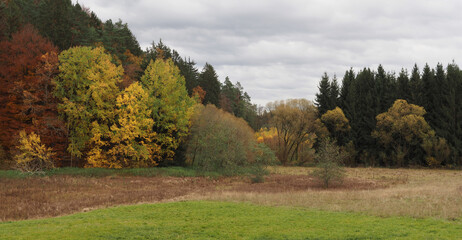 Herbstfärbung im Rottal bei Finsterrot, Naturpark Schwäbisch-Fränkischer Wald