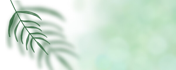 green leaves on a wall