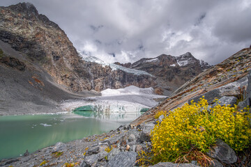 Ghiacciaio Fellaria in Italia, Valmalenco, Europa