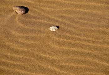 Two Windswept Stones on a Sandy Beach