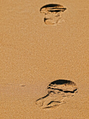 Fototapeta na wymiar A Pair of Shoe Footprints on a Sandy Beach