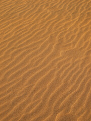 Fototapeta na wymiar Windswept Sand Texture Detail on a Beach