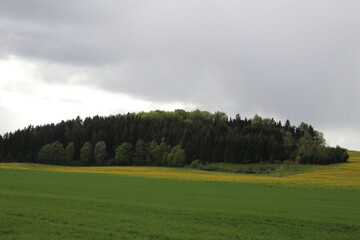 Landschaft