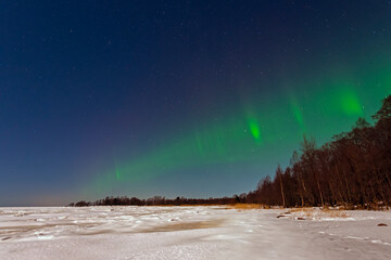 Aurora borealis green-purple on a clear winter night