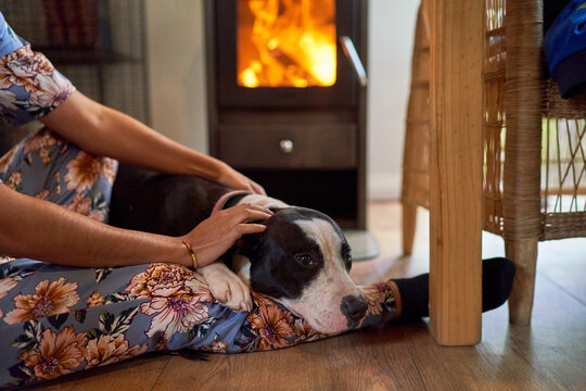 Woman petting dog on floor by fireplace