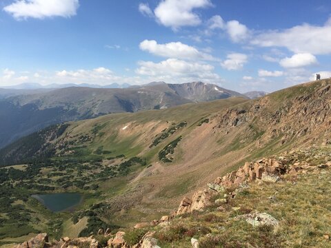 Colorado Mountain Fields and Forests with Green Grass, Flowers and Blue Sky