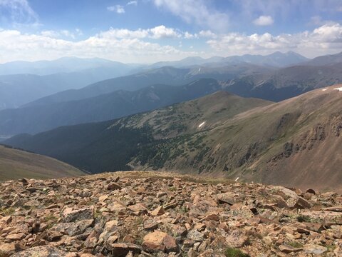 Colorado Mountain Fields and Forests with Green Grass, Flowers and Blue Sky