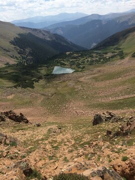 Colorado Mountain Fields and Forests with Green Grass, Flowers and Blue Sky