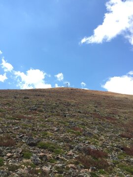 Colorado Mountain Fields and Forests with Green Grass, Flowers and Blue Sky