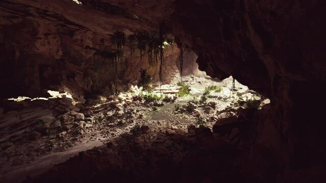 the view inside fairy cave covered in self illuminating green plants