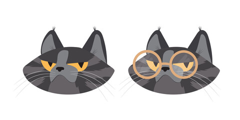 typography slogan with cat in glasses illustration