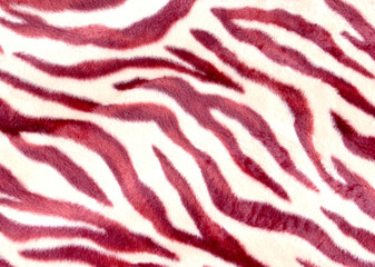 Pink zebra print on mass-produced knitted, synthetic fabric. Use for upholstery of upholstered furniture. Abstract animal skin pattern, background.