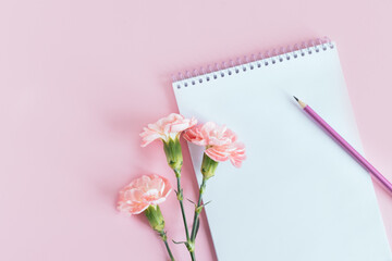 Notebook with blank page, pencil and Carnation flower on a pink pastel background.