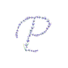 Floral Letter P. Watercolor hand drawn alphabet letter with botanical illustration of lavender flowers, leaves and branch. Initial letter for logo, greeting cards, invitations