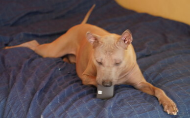 Did someone take my stuff without permission?