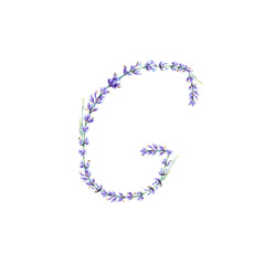 Floral Letter G. Watercolor hand drawn alphabet letter with botanical illustration of lavender flowers, leaves and branch. Initial letter for logo, greeting cards, invitations