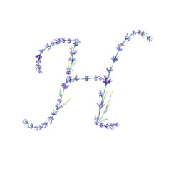 Floral Letter H. Watercolor hand drawn alphabet letter with botanical illustration of lavender flowers, leaves and branch. Initial letter for logo, greeting cards, invitations