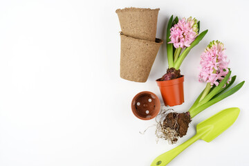 Garden tools, hyacinth flowers, peat pots on a white background. Spring garden concept. Place for text.