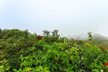 Top view of Khao Luang National Park, Nakhon Si Thammarat, Thailand 