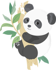 Baby panda on the tree branch