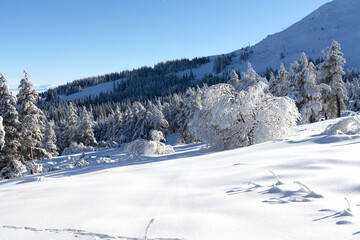 Fototapeta na wymiar Aerial Winter view of Vitosha Mountain, Bulgaria