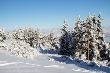 Aerial Winter view of Vitosha Mountain, Bulgaria