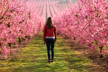 Full body of a woman walking across a pink field