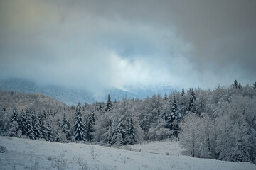 Winter snowy landscape. Cloudy day, low clouds over mountains and coniferous forest