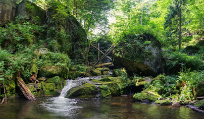 Naklejka na ściany i meble Mountain river in a wild European summer forest. Huge boulders overgrown with green moss