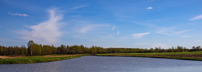 Spring background with a beautiful landscape on the river, nature in summer
