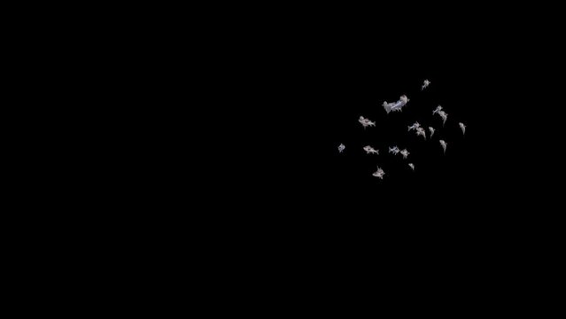 Fish Animation, Fish Swim Video with Alpha Matte, 3D Animation, Underwater, Single and Group, 4K