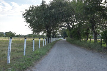 Carretera destapada con cerca, arboles verdes y naturaleza hermosa 