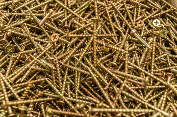 Gold colored screws. Placer of metal fasteners. Close-up of long screws. Selective focus, background