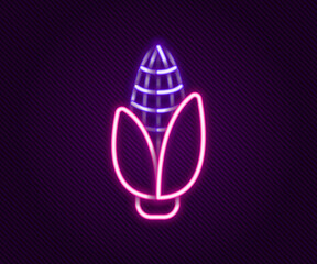 Glowing neon line Corn icon isolated on black background. Colorful outline concept. Vector