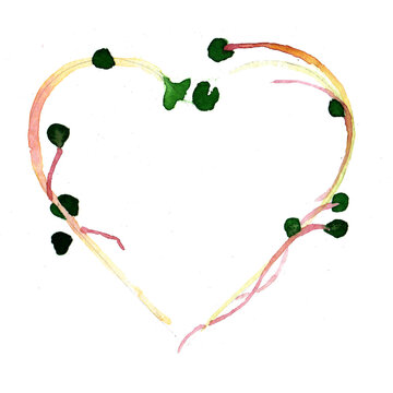 Watercolor microgreens, heart-shaped seedlings. Green sprout, Valentine's day postcard, herbal frame. Vegan banner, healthe eating. Cute template for wedding. Raster stock illustration, white isolated
