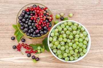 Black currant. Red currant. Gooseberry. Harvested berries in bowls.