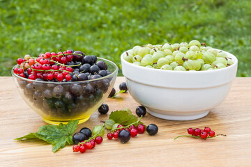 Black currant. Red currant. Gooseberry. Harvested berries in bowls.