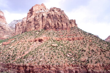 Awesome mountain in Zion National Park, Utah, USA. Massive cliff walls above the green canyon floor. 