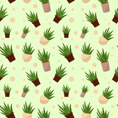 Vector seamless pattern with potted plants, aloe leaves. Suitable for decorating textiles and wrapping paper