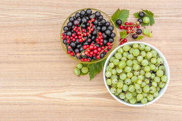 Black currant. Red currant. Gooseberry. Harvested berries in bowls.