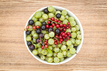 Mix of berries. Blackcurrant, redcurrant, gooseberry.