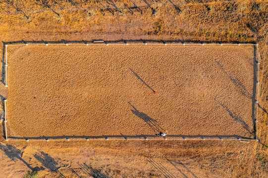 Aerial view of a person riding a horse in countryside, Albernoa, Portugal.