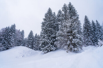 Obraz premium Winterlandschaft in Bayern