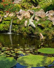 The scenic Crocodile Pond with aquatic plants at La Mortella Garden, Forio, Ischia, Italy