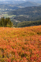 Beautiful view with peak of mountain.